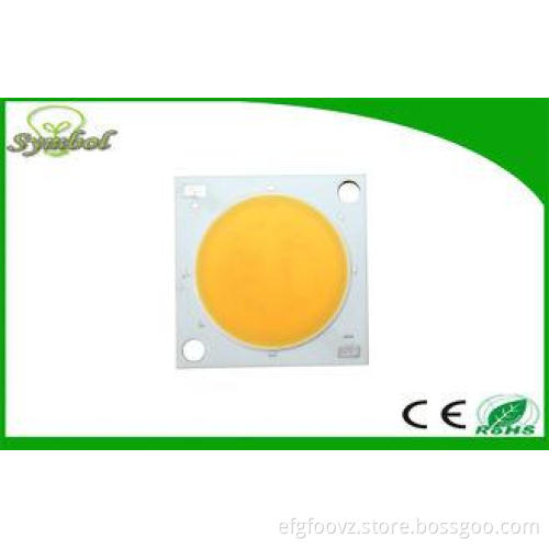 3 w - 60W COB Leds Bridgelux Chips RA80 With 25MM Luminous